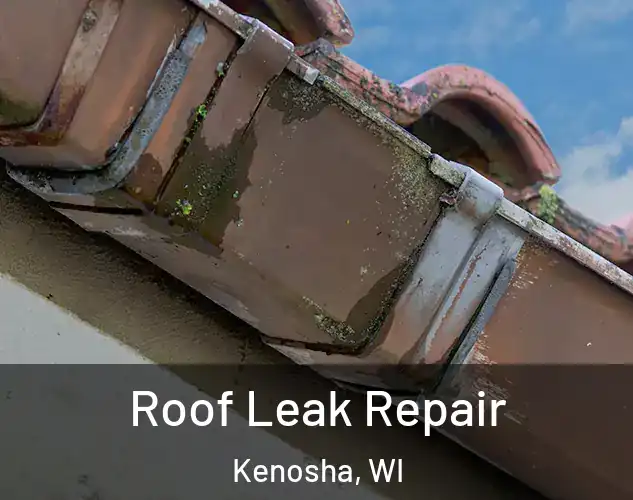  Roof Leak Repair Kenosha, WI