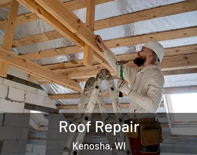  Roof Repair Kenosha, WI