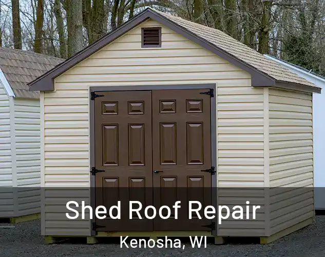  Shed Roof Repair Kenosha, WI