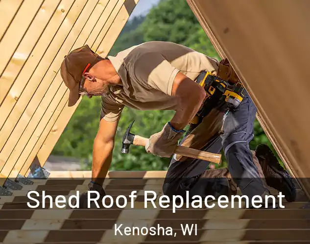  Shed Roof Replacement Kenosha, WI